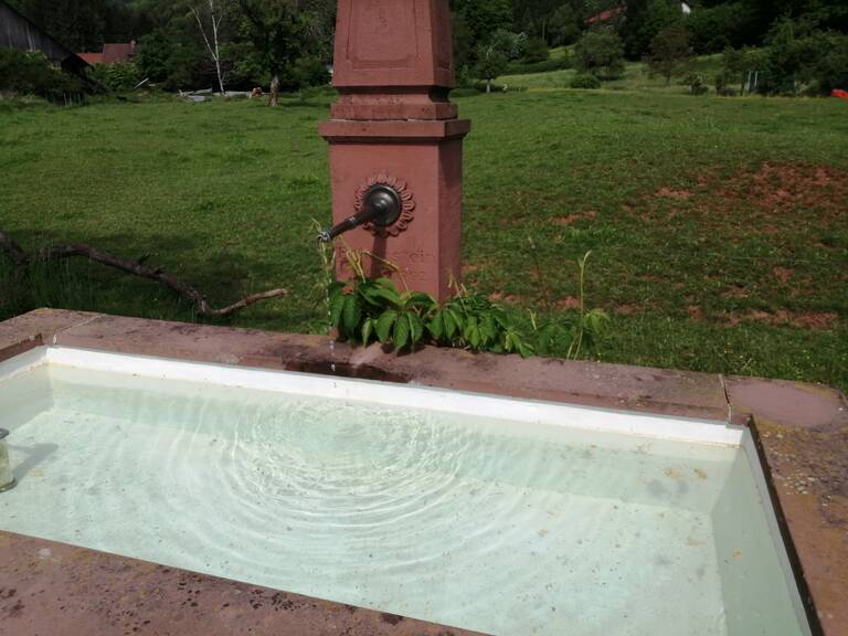 Brunnen Bushaltestelle: Ein steinernes Wasserbecken mit einem Wasserhahn steht in einer grünen, ländlichen Landschaft.