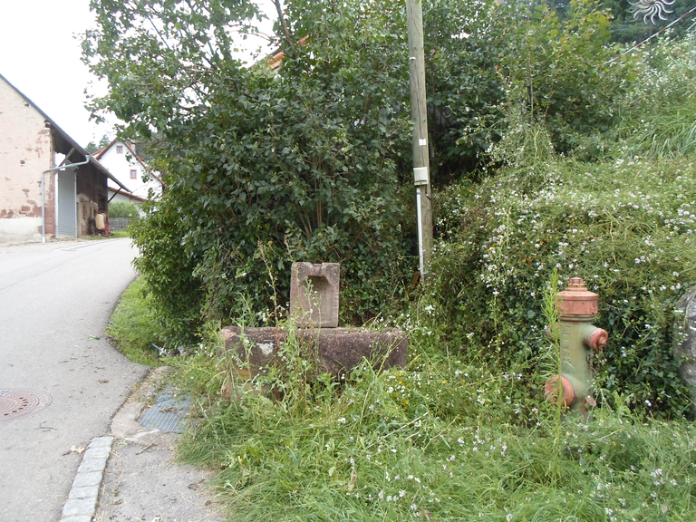 Bauer-Brunnen in Raitbach: Eine ländliche Straße neben einem hydranten und einem alten steinernen Brunnentrog, umgeben von üppigem Grün und Büschen.