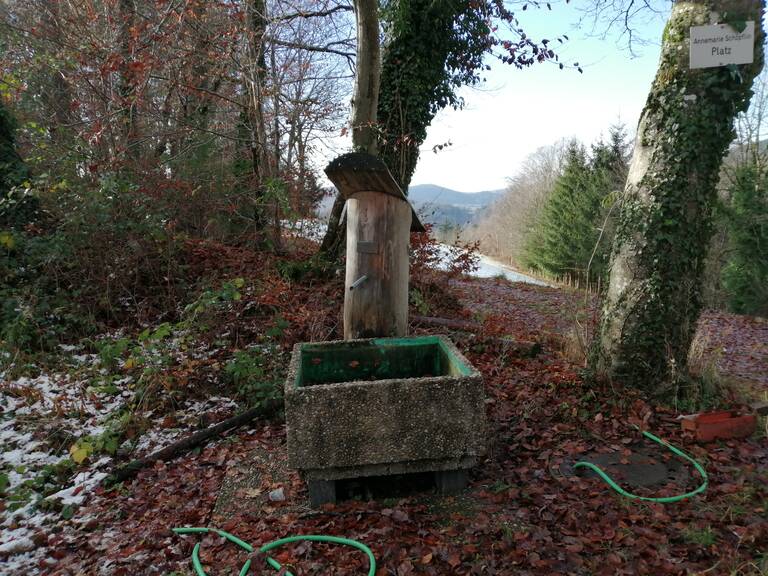 Schöpflin-Brunnen in Raitbach: Ein Brunnen aus Holz steht in einem herbstlichen Wald, umgeben von Laub und einem Wasserschlauch.